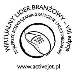 Virtual Industry Leader (Wirtualny Lider Branżowy) 2013