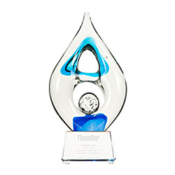 Golden IT Ace Award ("Złoty As IT") 2013